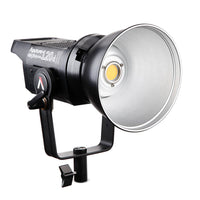 Aputure LS C120D II LED Light