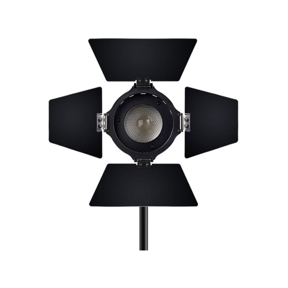 Aputure LS-Mini 20D LED Light