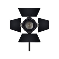 Aputure LS-Mini 20D LED Light